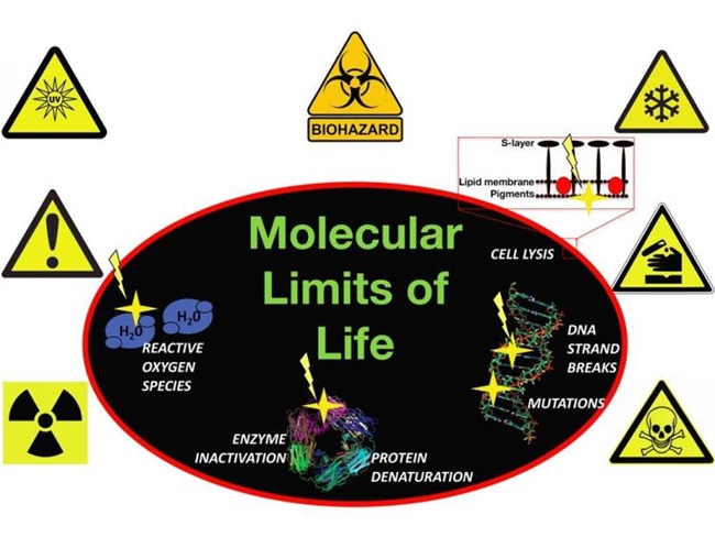 image Molecular Toolkit Life1
