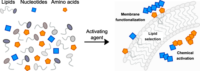 emergence_modern_cells1