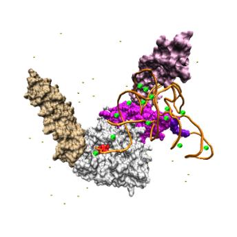 image Chiral Discrimination Protein1